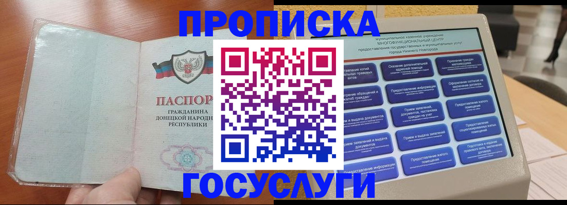 временная регистрация поиск в Сольцах